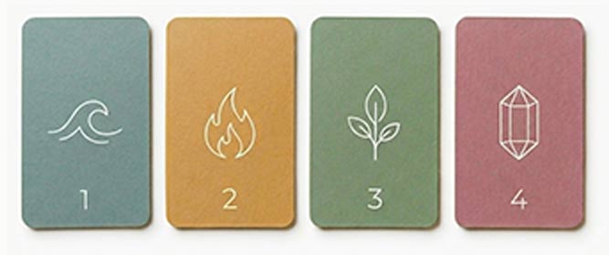 Metabolic Match Type Quiz